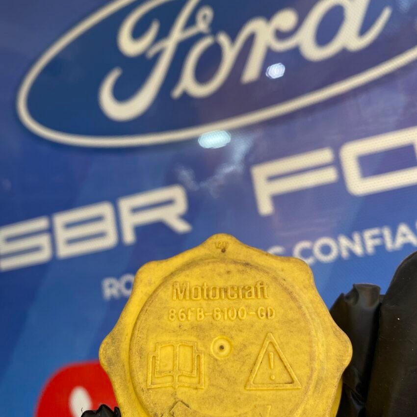 BOCHOUN VASE FIESTA FUSION FIGO 03+