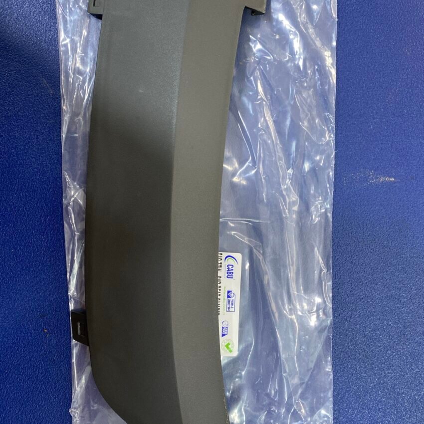 CACHE REMERCAGE AR FIESTA 09+