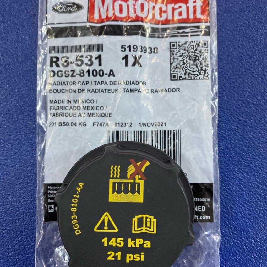 BOCHOUN VASE FIESTA 09+...RS-531