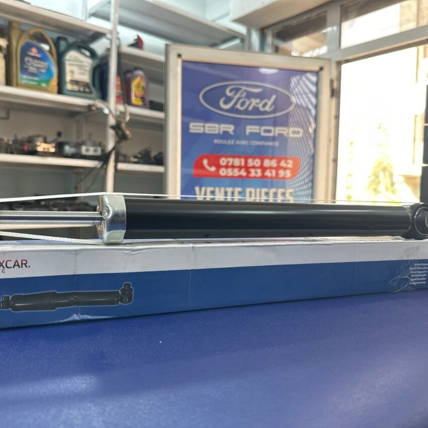 AMORTIS FIESTA FIGO 03+...46163Z